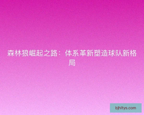 森林狼崛起之路：体系革新塑造球队新格局